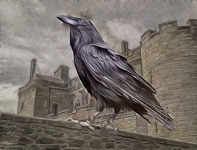 The Inscrutable Nature Of Ravens Sara C Snider