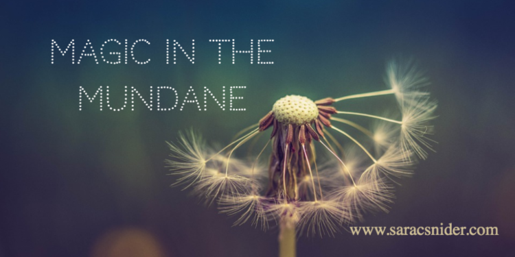 Magic in the Mundane — Alphabet